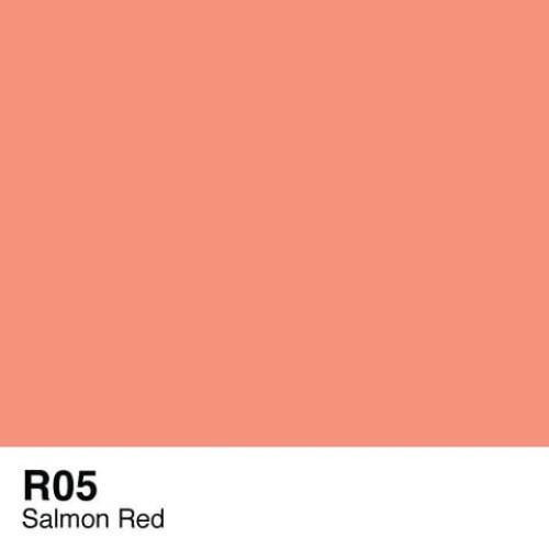 COPIC VARIOUS INK - R-05