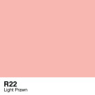COPIC VARIOUS INK - R-22