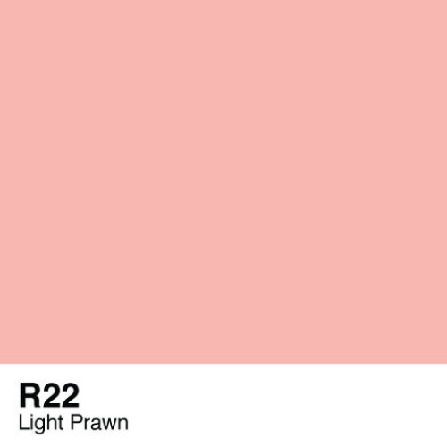 COPIC VARIOUS INK - R-22
