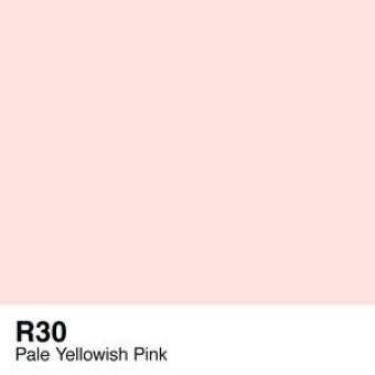 COPIC VARIOUS INK - R-30