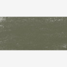 SCHMINCKE СУХ ПАСТЕЛ GREENISH GREY 2, B 17094068