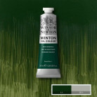 W&N OIL PAINT WINTON 37 ML. - DARK VERDIGRIS