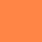 LIQUITEX LIQUITEX АКРИЛЕН МАРКЕР 2MM - ORANGE