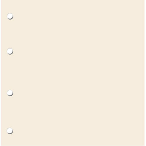 FOLIA DIVIDERS FOR DECORATION FOLDER - 31/32.5 CM.