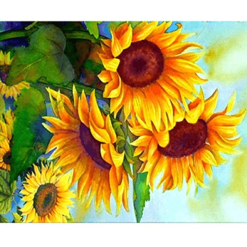 NEWART PAINT BY NUMBERS SET 50/40CM. - W6909