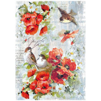 STAMPERIA DECOUPAGE RICE PAPER A4 - DFSA4245