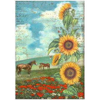STAMPERIA SUNFLOWER DECOUPAGE RICE PAPER A4 - DFSA4767