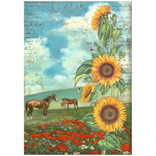 STAMPERIA SUNFLOWER DECOUPAGE RICE PAPER A4 - DFSA4767