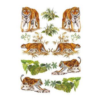 CALAMBOUR DECOUPAGE PAPER 48/33 CM - RP 61