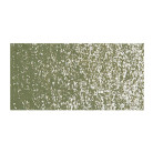CARAN D'ACHE OIL PASTELS NEOPASTEL OLIVE GRAY