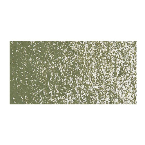 CARAN D'ACHE OIL PASTELS NEOPASTEL OLIVE GRAY