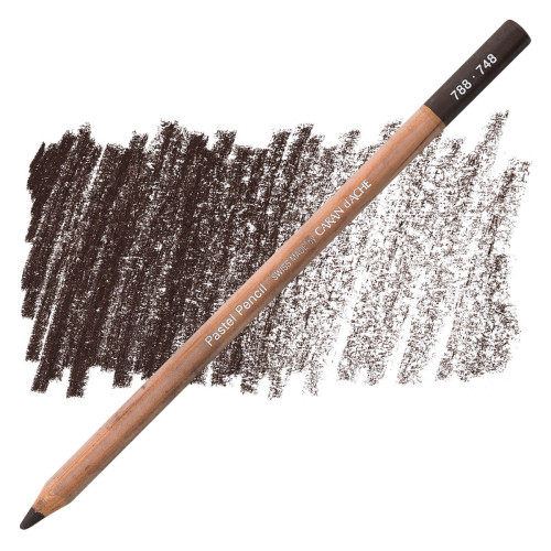 CARAN D'ACHE ПАСТЕЛНИ МОЛИВИ - WARM EARTH 70%