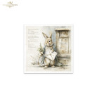 ITD COLLECTION MINI RICE PAPER К-КТ 6БР 14.8X14.8CM - RSM240