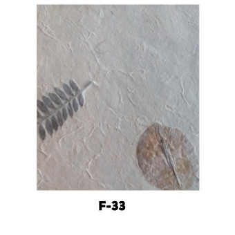 NEPAL HANDMADE PAPER F-33 60 GSM, 50/75