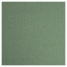 LANA COLORED PAPER GREEN 160 GSM 50/65