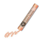 MUNGYO DRY PASTEL SIENA BURNED MPA 319
