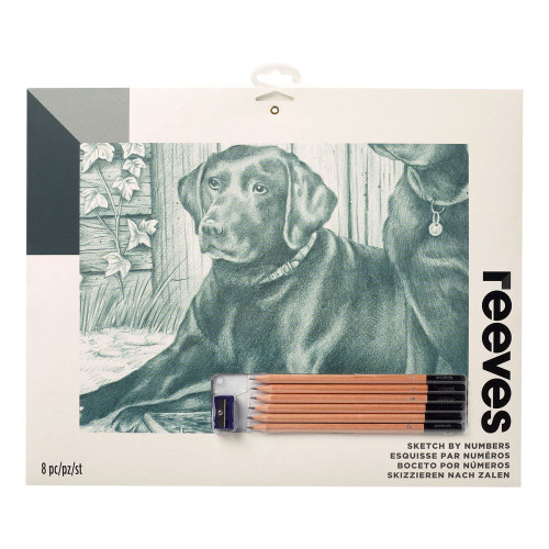 REEVES PAINT BY NUMBERS SET - DOGS PPSK107
