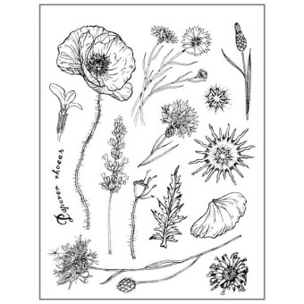 STAMPERIA HIGH DEFINITION STAMPS - ГУМЕНИ ПЕЧАТИ WTKCC114