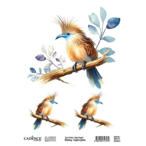 CADENCE ТРАНСФЕРНА ДЕКОРАЦИЯ 25Х35СМ - BRET-07
