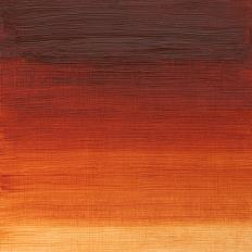 W&N OIL PAINT WINTON 37 ML. - BURNt SIENA