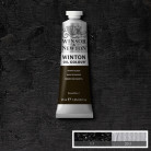 W&N OIL PAINT WINTON 37 ML. - BLACK IVORY
