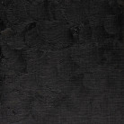 W&N OIL PAINT WINTON 37 ML. - BLACK