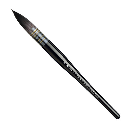 DA VINCI BRUSH CASANEO 498 ROUND #6