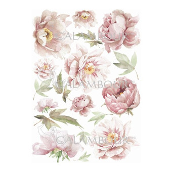 CALAMBOUR DECOUPAGE PAPER 48/33 CM - TCR 08