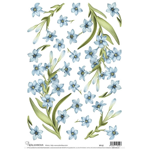 CALAMBOUR DECOUPAGE PAPER 48/33 CM - RP 62