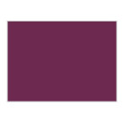 CARAN D'ACHE WATERCOLOUR PENCILS PRISMALO PURPLE
